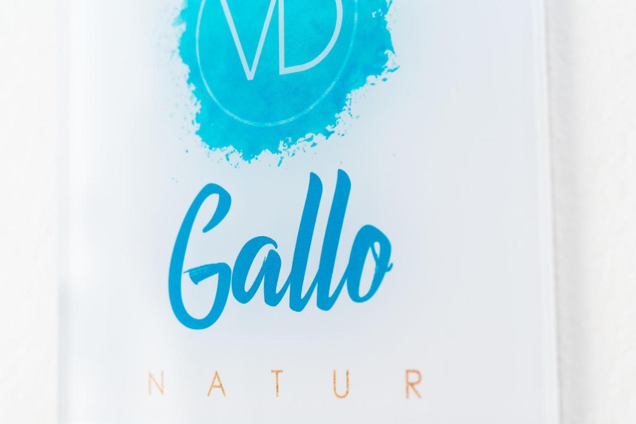 Delmar Natur - Gallo Charco del Palo Dış mekan fotoğraf